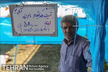 مرکز عرضه دام بهداشتی به مناسبت عید قربان در منطقه 22 تهران 5