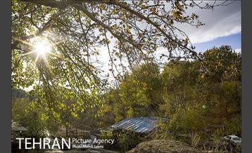 پاییز زیبای منطقه کن 5