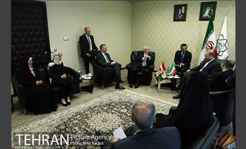 دیدار شهردار وین با دکتر قالیباف شهردار تهران 15
