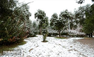 روز برفی در منطقه 8 20