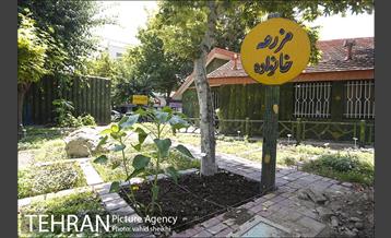 بوستان المهدی 15