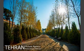 پاییز باغ موزه قصر 31