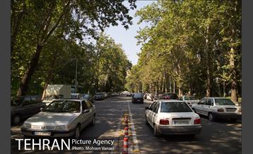 بوستان نیاوران 15