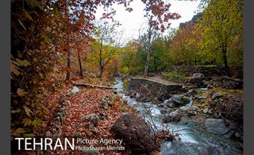طبیعت پاییزی روستای سنگان 15
