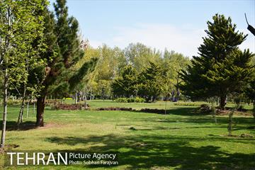 روز طبیعت متفاوت شهر تهران-1 44