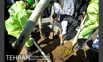 احیای درختان خیابان  ولیعصر( عج) با حضور شهردار تهران  32