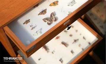 افتتاح پروژه‌های منطقه ۱۴ 21