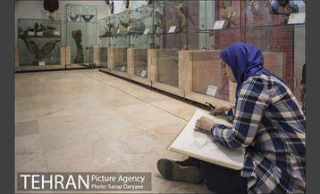 موزه طبیعت و حیات وحش ایران دارآباد‎ 3