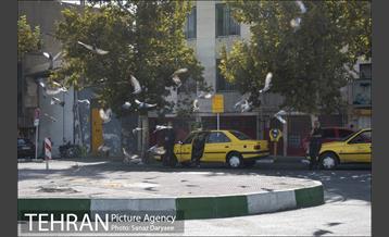 محله دردشت‎ 20