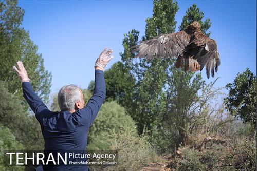 آزادسازی پرندگان و جمع آوری زباله در پارک جنگلی خجیر 14