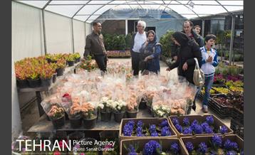 بازار گل شهید محلاتی 6