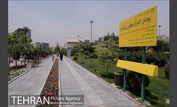 آیین افتتاح و بهره برداری از 120 پروژه منطقه 5 شهرداری 21