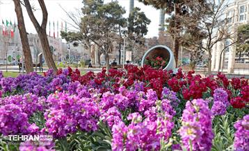 طرح استقبال از بهار 8