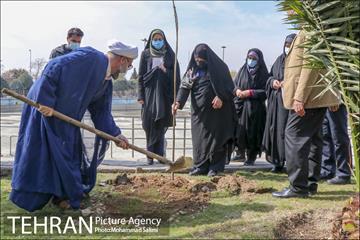 جشن نهال هاى کوچک شهر و تخم مرغ هاى رنگى در منطقه ٩