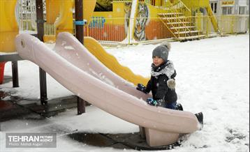 بارش برف زمستانی در منطقه ۲ 27
