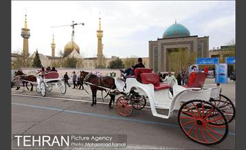 بازدید معاون فرهنگی و اجتماعی شهرداری از نمایشگاه عطر یاس 9