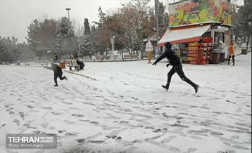 بارش برف زمستانی در منطقه ۲ 25