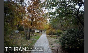 باغ گیاه‌شناسی ملی ایران 32