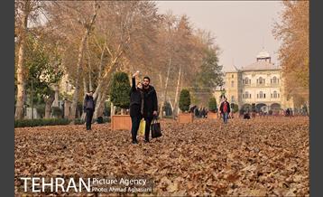 سومین رویداد هنری "پاییز برگ" در میدان مشق 44