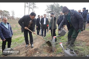 غرس 2000 نهال در بوستان جنگلی سرخه‌ حصار 8