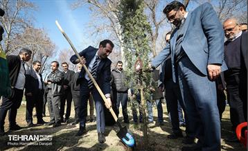 سنت حسنه درختکاری، یادبود شهدای منطقه6