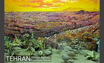 موزه حیات وحش هفت چنار 14