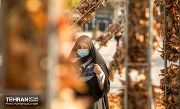 گذرگاه های پاییزی پایتخت - پارک ملت  17