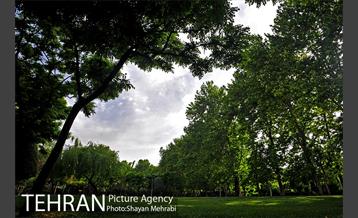 بوستان لاله 12