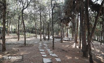 طبیعت پاییزی باغ راه فدک تهران 40