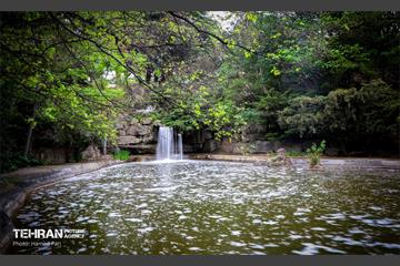 باغ گیاه‌شناسی 9
