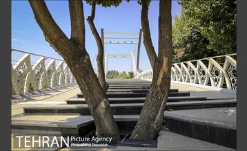 تنفس طبیعت زیبای منطقه ۷ در روزهای حضور کمرنگ شهروندان 11