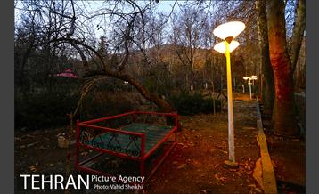 بوستان جمشیدیه 20