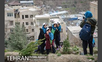 آیین غرس پنچ هزار اصله نهال در اراضی جنگل لویزان 29