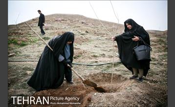 آئین کاشت نهال در بوستان جنگلی سرخه حصار 17