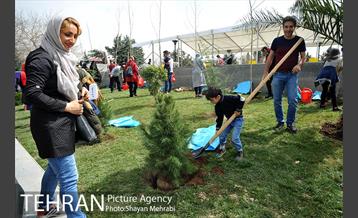مراسم درختکاری به مناسبت روز مادر 52