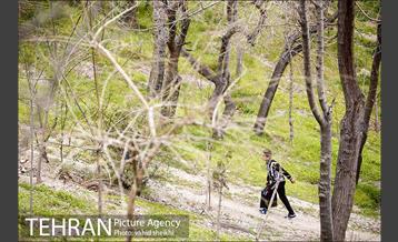 بوستان طالقانی 16