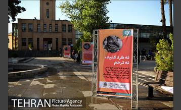 مراسم روز جهانی مبارزه با کار کودک 1