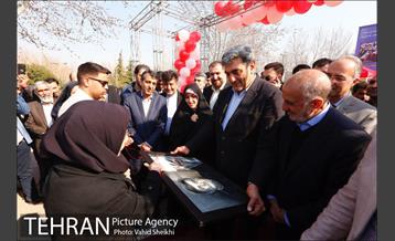 آیین کاشت درخت مادر 4