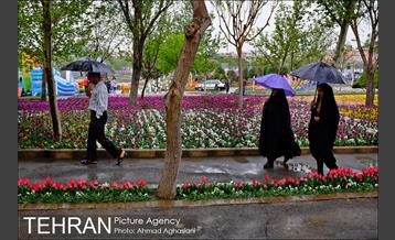 جشنواره لاله‌ها در بوستان زندگی محله هرندی 6