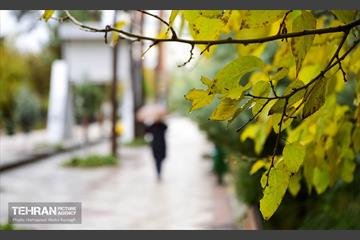 یک روز پاییزی در منطقه ۱۴
