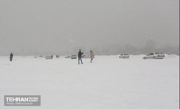 روز برفی پایتخت 5