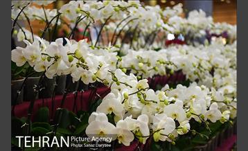 شانزدهمین نمایشگاه گل و گیاه تهران 16