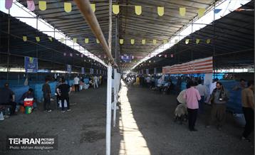 بازدید از مرکز عرضه بهداشتی دام ویژه عید قربان 14