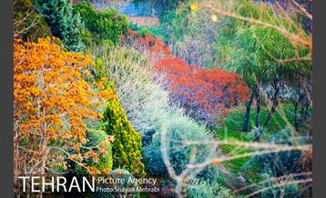 پاییز اراضی عباس آباد 28