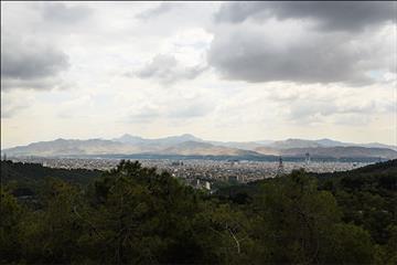 بوستان جنگلی لویزان 27