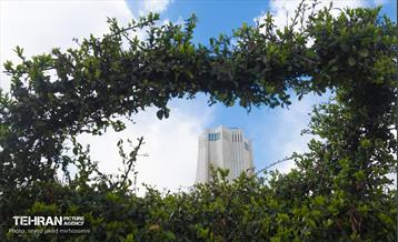 حال و هوای نوروزی تهران  27