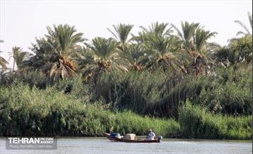 پیاده روی اربعین حسینی؛ طریق العلماء 20