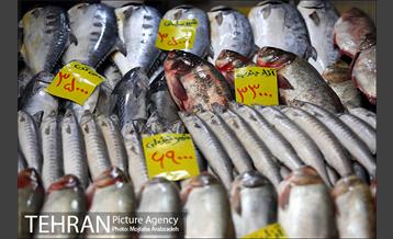 یلدایِ نجومی قیمت‌ها 12