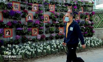 طرح استقبال از بهار 24