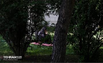 مراسم دعای عرفه دانشگاه تهران 29